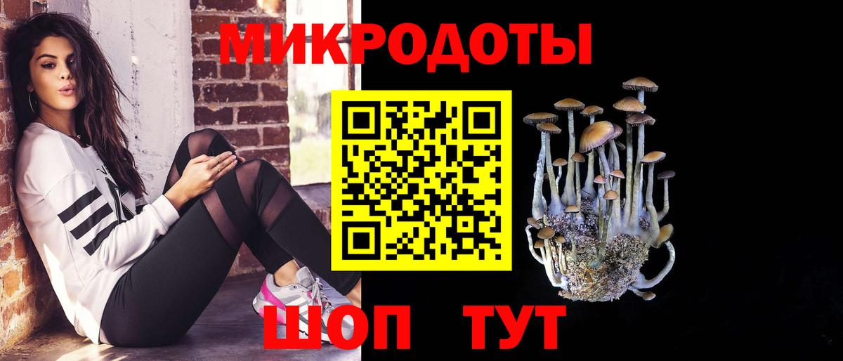Галлюциногенные грибы Psilocybine cubensis Орёл